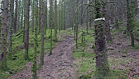 Trail towards Orrsåta