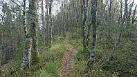 Trail towards Hoplandsfjellet