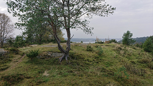 The summit area at Hoplandsfjellet