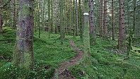 Trail to Nordnipa