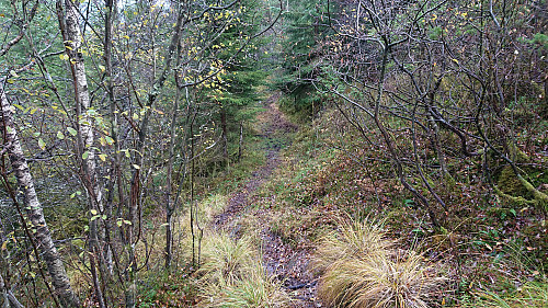 Trail west of Fageråsen