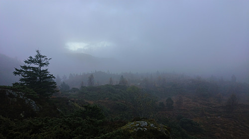 Limited views during the ascent