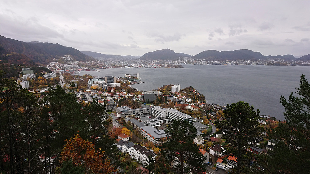 View towards the Bergen city center from Furukammen