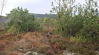 Weak trail towards Geithaugen