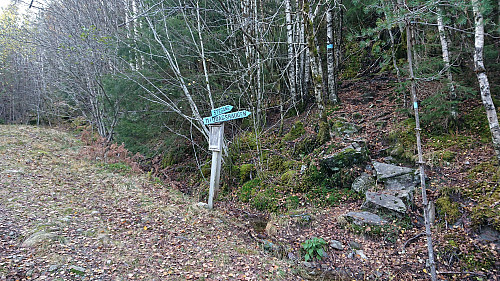 Marked trails to Middagshaugen from the tractor road