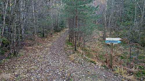 Tractor road back to Kuviki