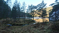 North of Fethaugen