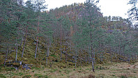 Start of the ascent up Kverhusdalen