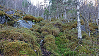 Deer tracks towards Middagsnipa