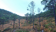 Terrain northeast of Middagsnipa