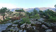 Middagsnipa (and Øyadalen)