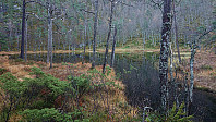 Tjørnabotnen