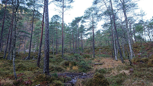 Finally ready to start the ascent from Kvamsdalen