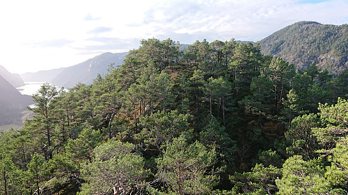 Approaching the summit of Solaråsen