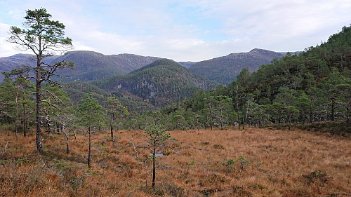 Towards Storenipa (and more) from northeast of Middagsnipa
