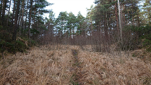 Wet trail from the south/southeast