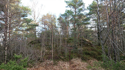 The summit of Storåsen