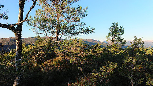 The summit of Sigerfjellet