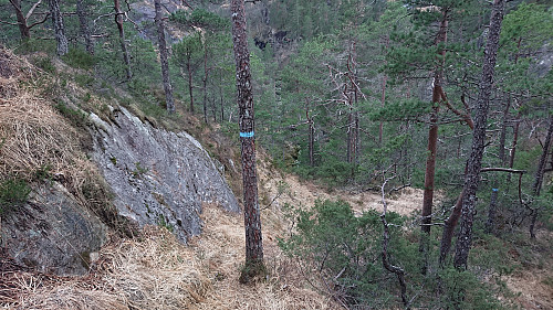 The marked trail via Hestabotn