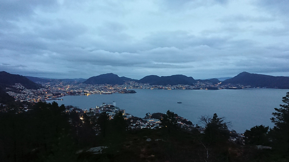 The city center from Ørneberget