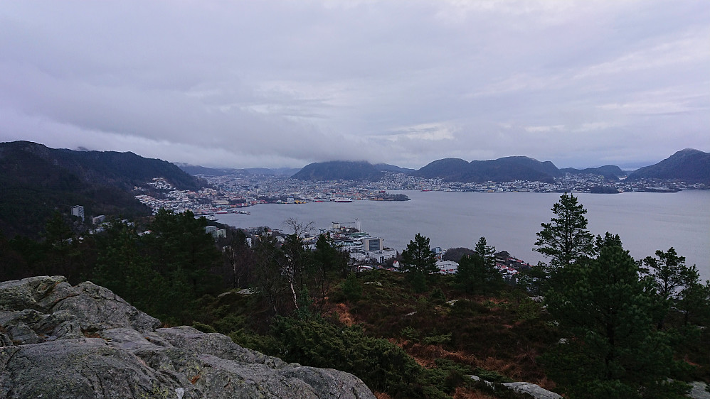 View towards the Bergen city center from Ørneberget