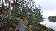 Trail south from Kobbavågen