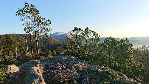 Fløyfjellet with Ulriken in the background
