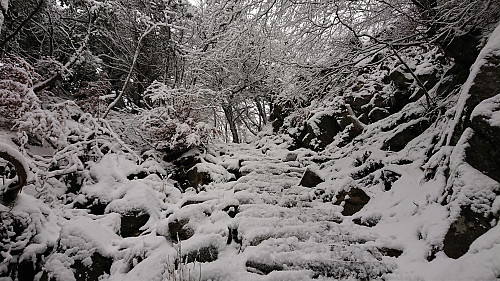 The upper part of Permisjonsstien