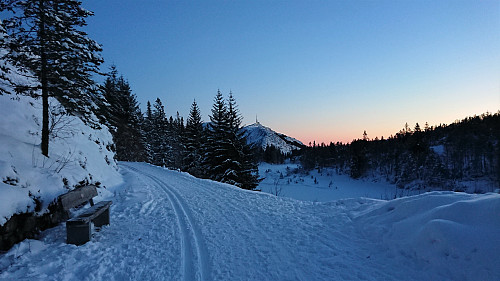 Towards Ulriken from Blåmansveien