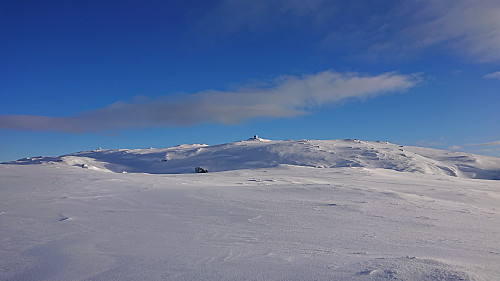 The highest point at Byfjellene