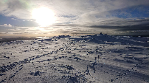 The highest point at Byfjellene from Hauggjelsvarden