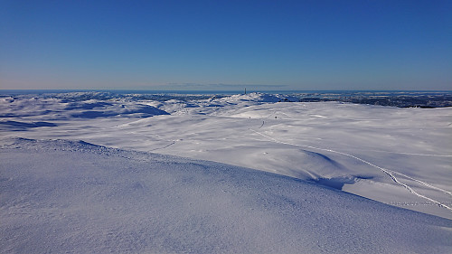Towards Ulriken from the highest point at Byfjellene