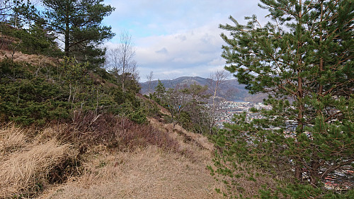 Alternative trail towards Løvstien nord