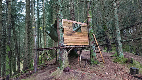 Start of a tree house south of Skreddersteinen