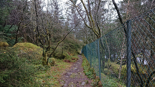 On the way back down to Skreddersteinen