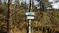 The marked trail