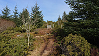Just below the summit
