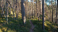 Trail to the ruin N of Ankerhytten