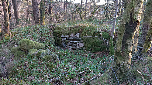 Ruin north of Ankerhytten