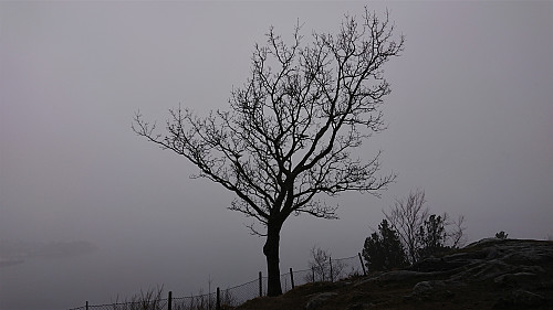Limited views from Sandviksbatteriet