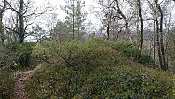 The summit of Fabiansvarden