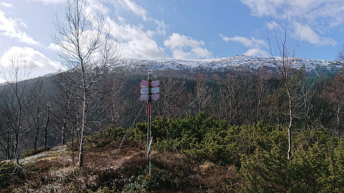 Mjeldheimssåta with Borga in the background