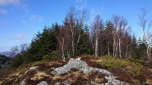 The highest point at Stikka