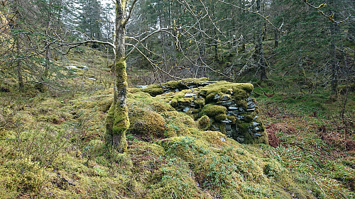 Unknown ruin north of Storevatnet