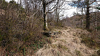 Unknown ruin N/NE of Stulihaugen