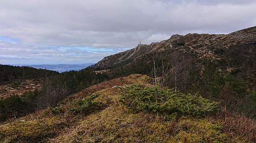 North/northwest from Storhaugen with Ulriken in the background