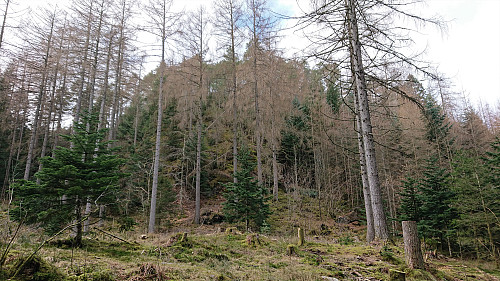 Lisahaugen from the gravel road to the south