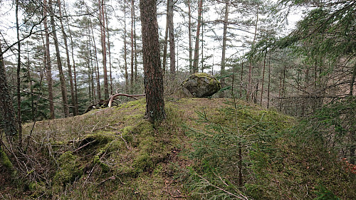 The summit of Lisahaugen