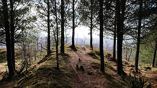 Along the trail south of Landåsfjellet