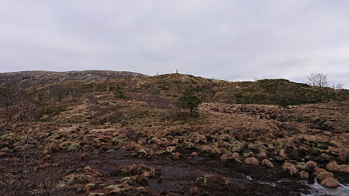 Approaching the summit of Landåsfjellet from the southwest